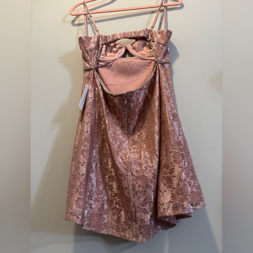 For Love And Lemons Rose Pink Velvet Lace Trim Mini Dress - Picture 8 of 9